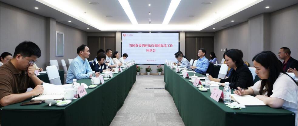 尊龙集团官网委阙紫康副主任一行调研集团混合所有造鼎新工作