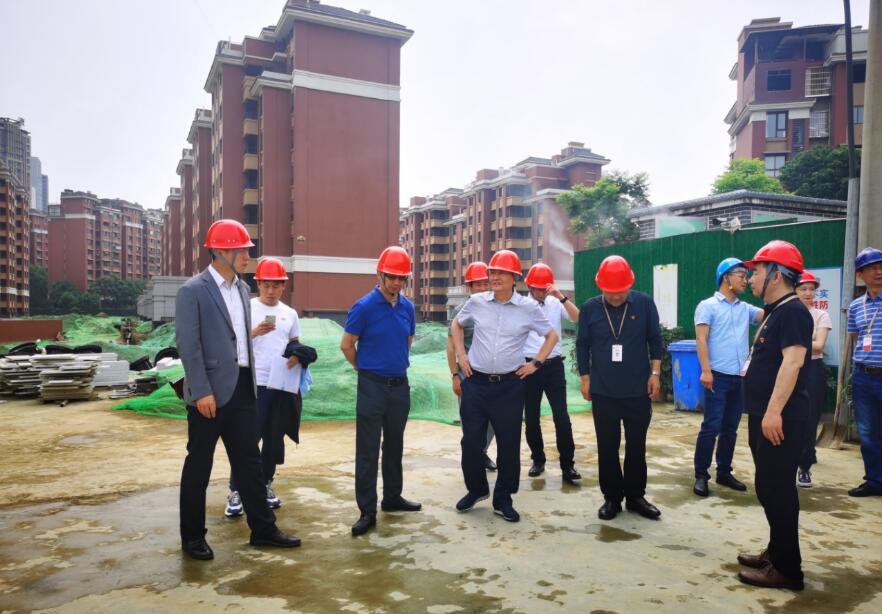 尊龙集团官网集团经营提升年专责工作组 发展系列项目督导