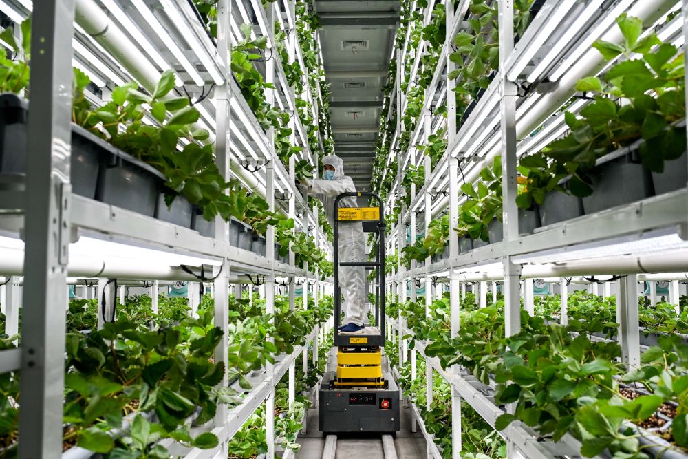 5e578d04-8766-48c7-a176-cbd7dec34022